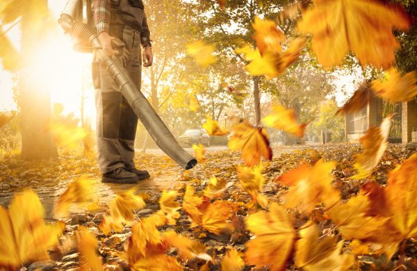 Cost of Leaf Blowing Service in Sebring