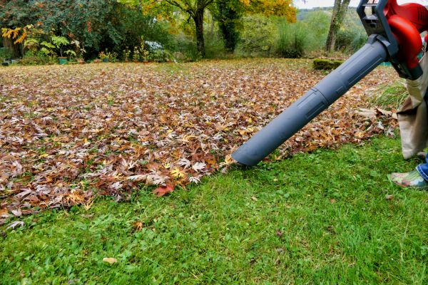 Cost of Leaf Vacuuming Service in Sebring