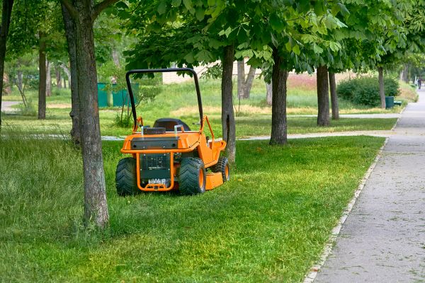 Cost of Landscaping Cleanup Service in Sebring