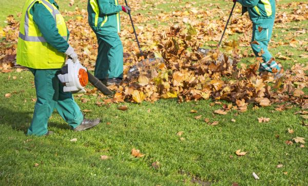 Cost of Leaf Maintenance in Sebring