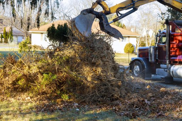 Cost of Storm Debris Removal in Sebring