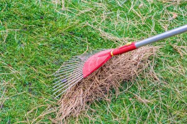 Cost of Yard Raking in Sebring