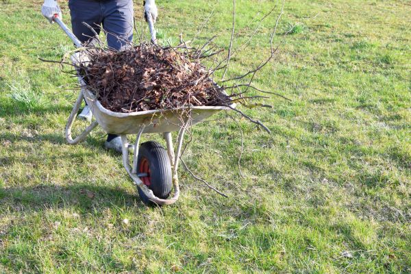 Cost of Yard Brush Removal in Sebring