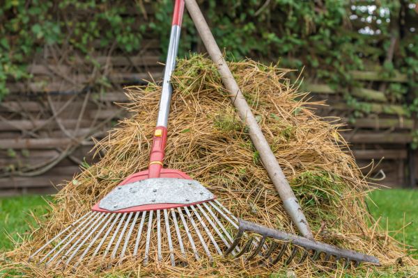 Cost of Pine Straw Clearing in Sebring