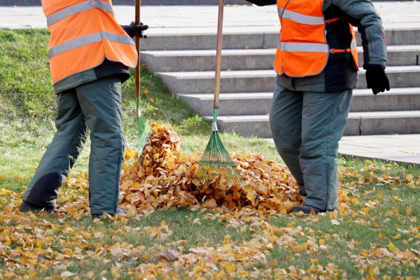 Cost of Leaf Hauling Service in Sebring