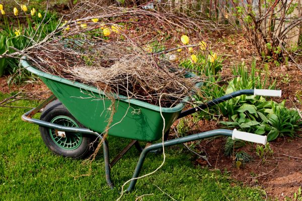 Cost of Lawn Waste Removal in Sebring