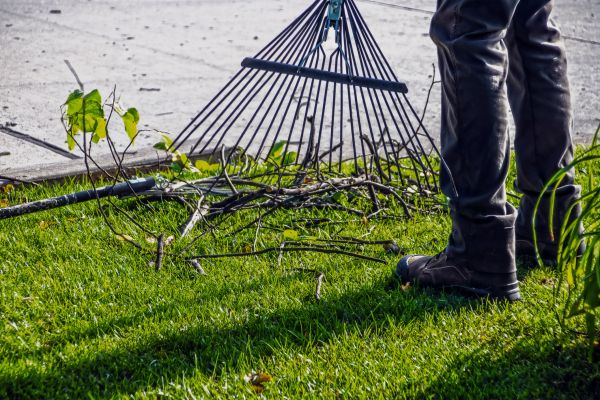 Cost of Yard Debris Cleanup in Sebring
