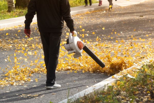 Cost of Commercial Leaf Removal in Sebring