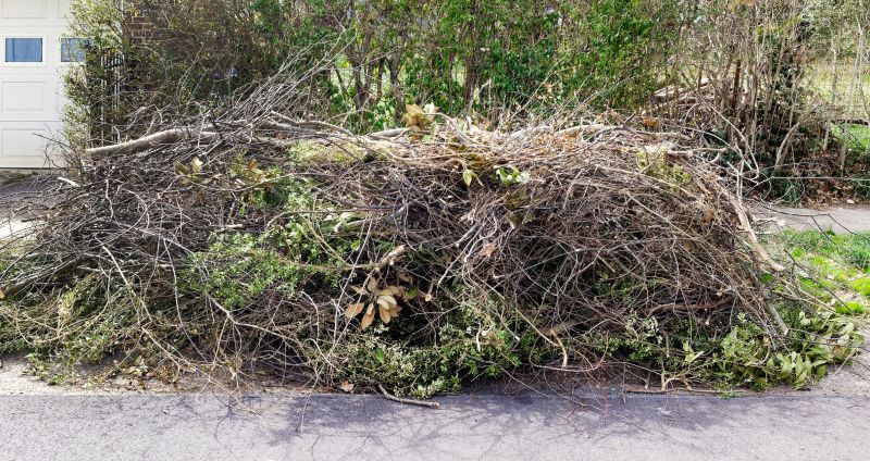 Tree Debris Removal detail